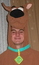 Chris Wall