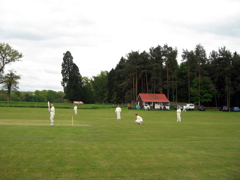 Mitford CC Ground